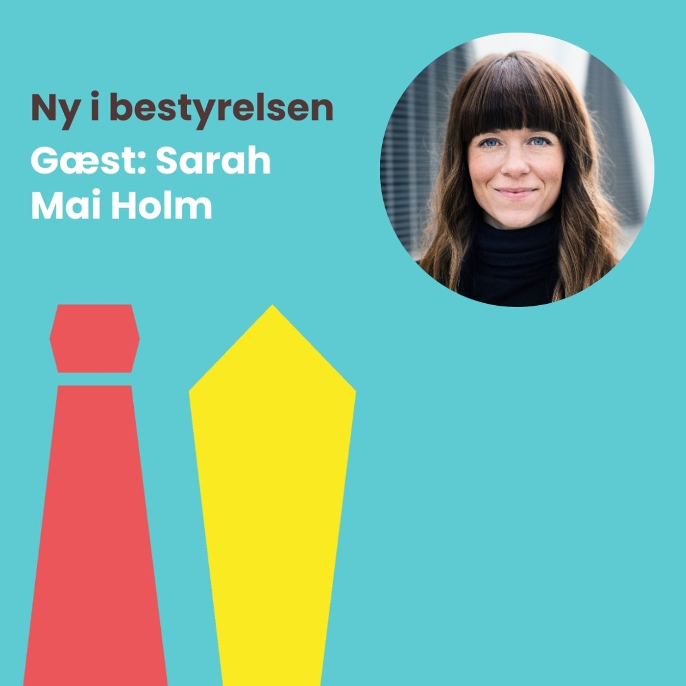 Ny i bestyrelsen