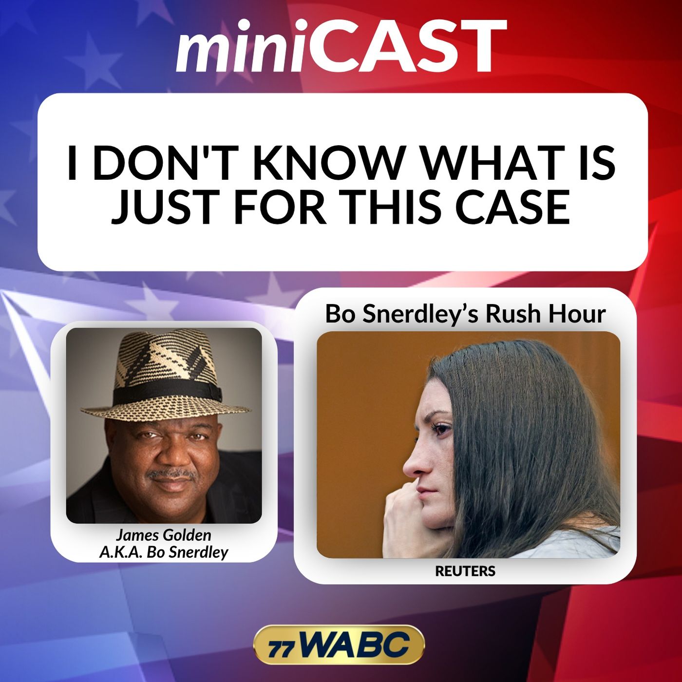 I Don't Know What Is Just For This Case episode artwork