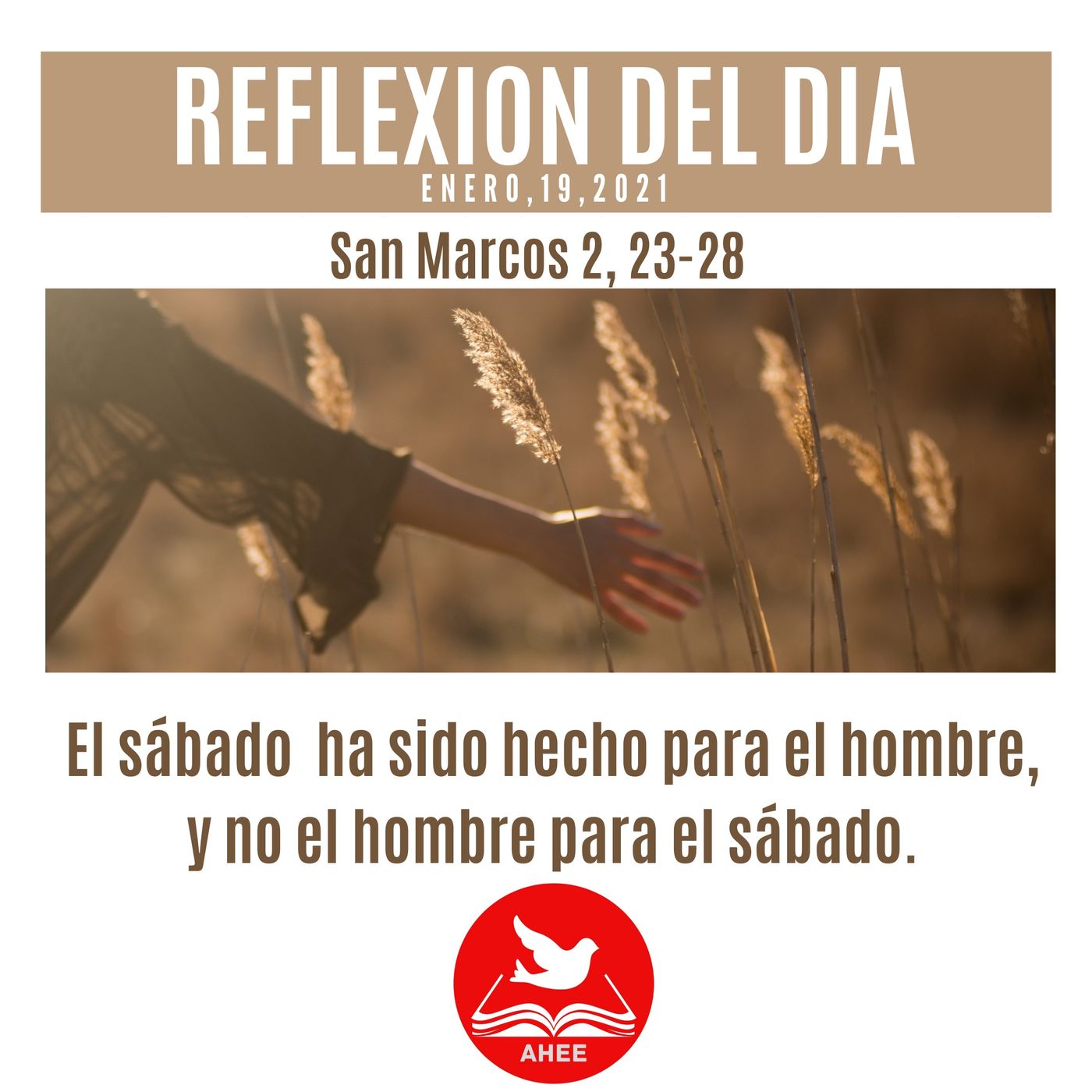 Reflexiones  del día