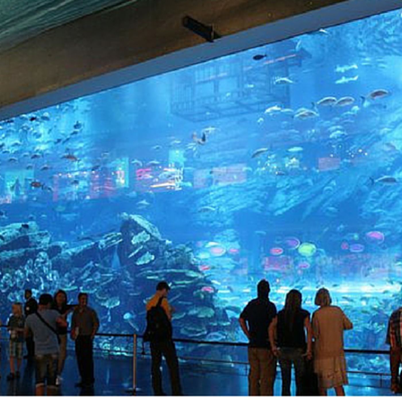 2: Travel First Ep.1 - Dubai