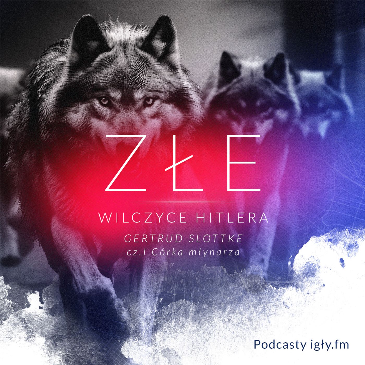 IGŁY FM