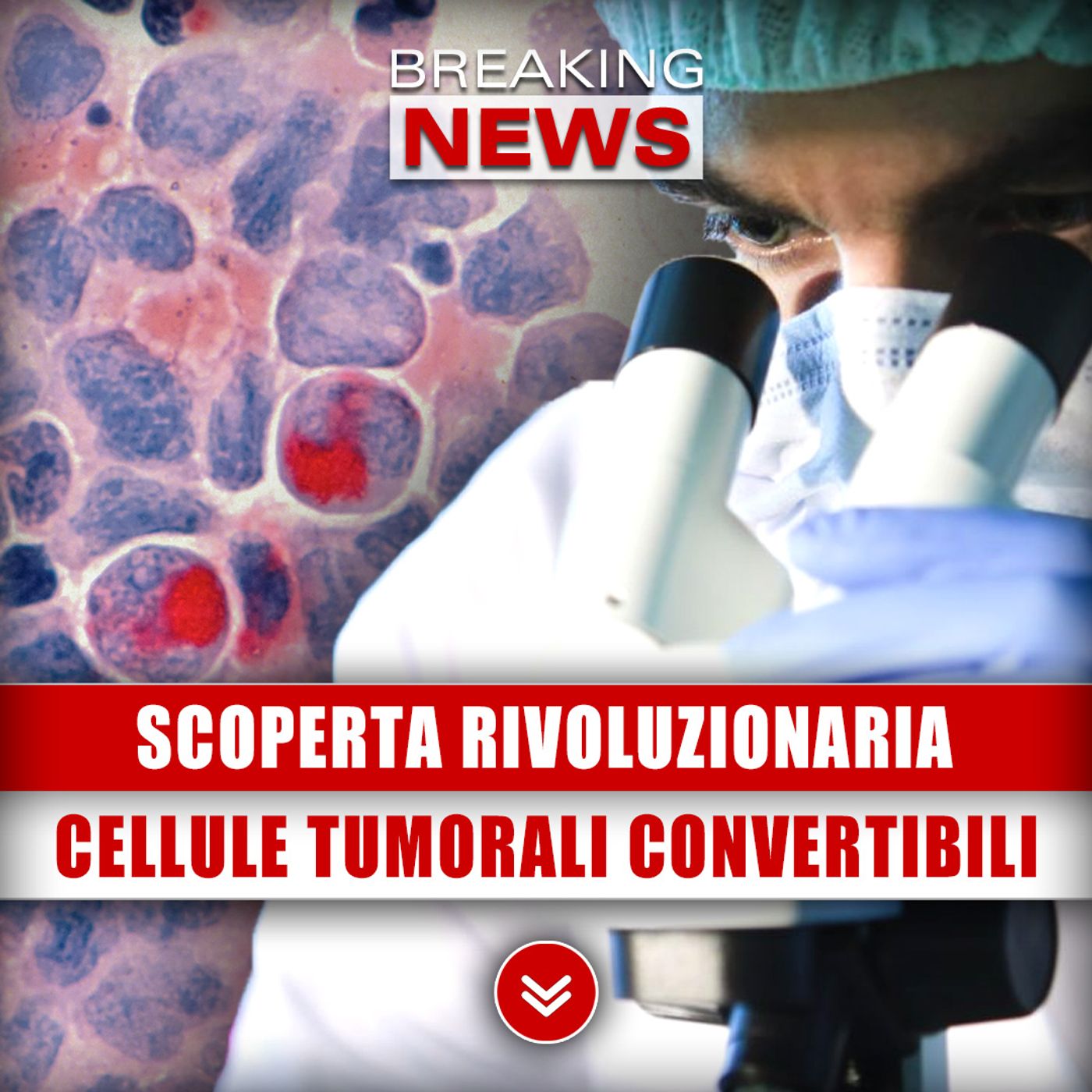 Breaking News Italia - Ultime Notizie