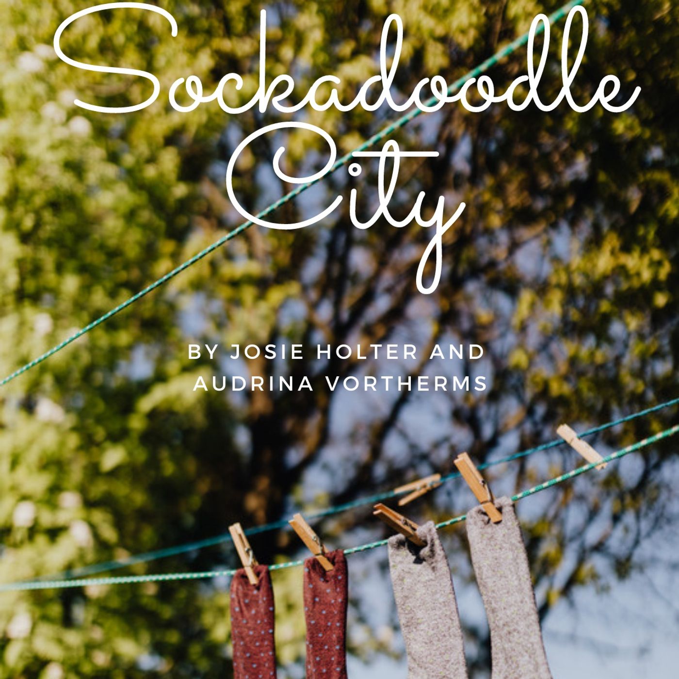 Sockadoodle City