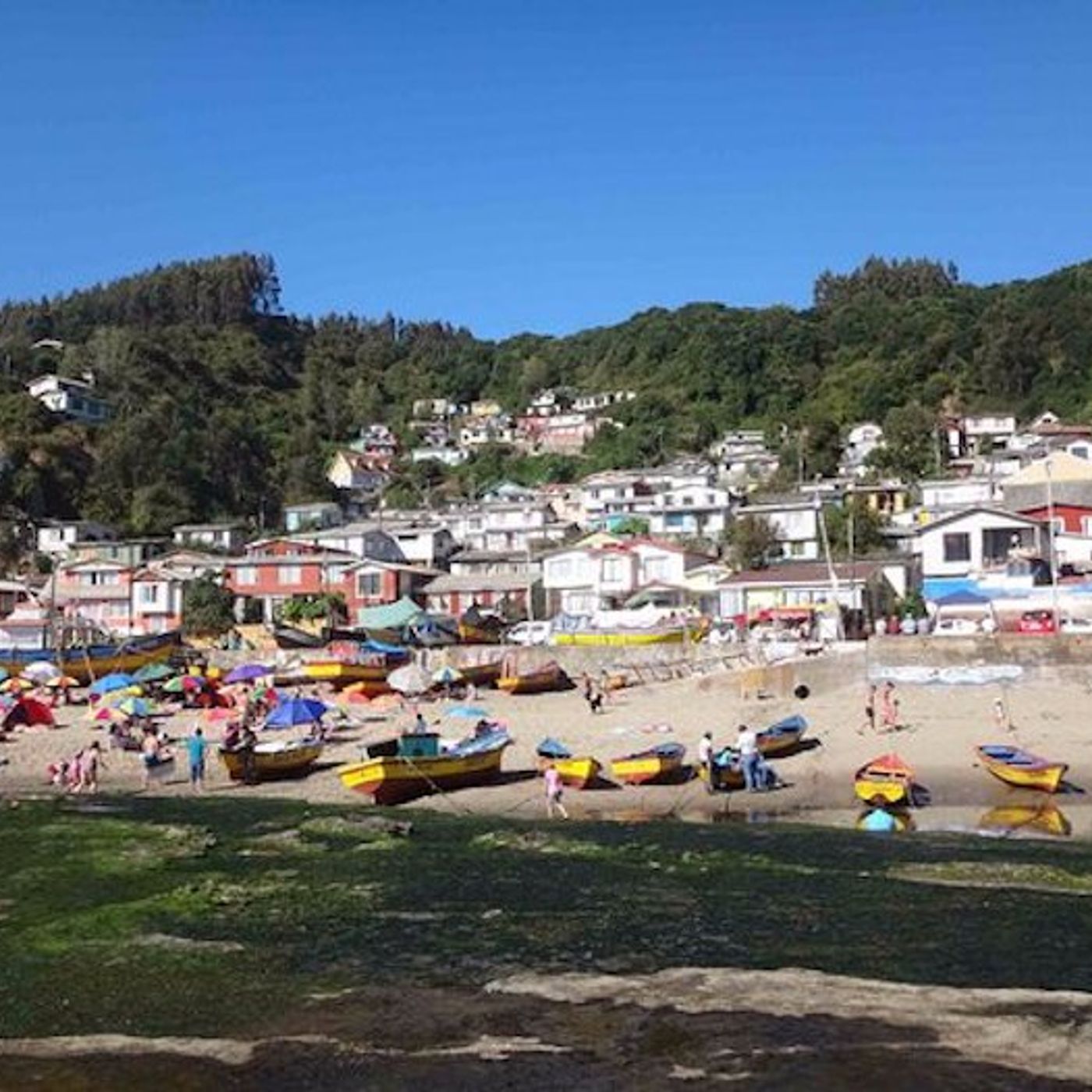 Conexión Pesquera