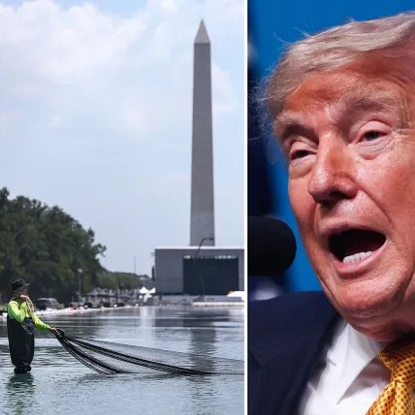 'Temporary tenant' Judge drops a dose of reality on Trump's ballroom fantasy episode artwork