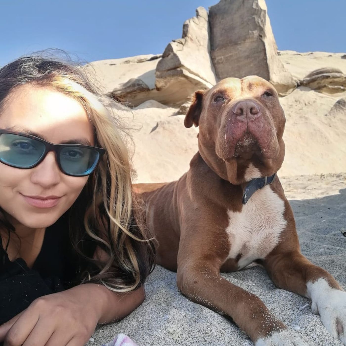 Familia se reencuentra con su perrito perdido después de 3 años de búsqueda