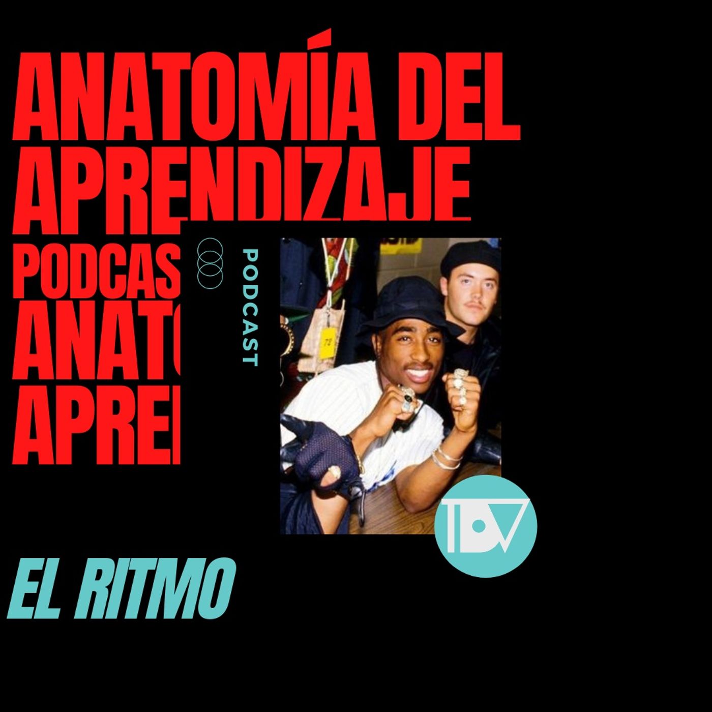 Anatomía del Aprendizaje