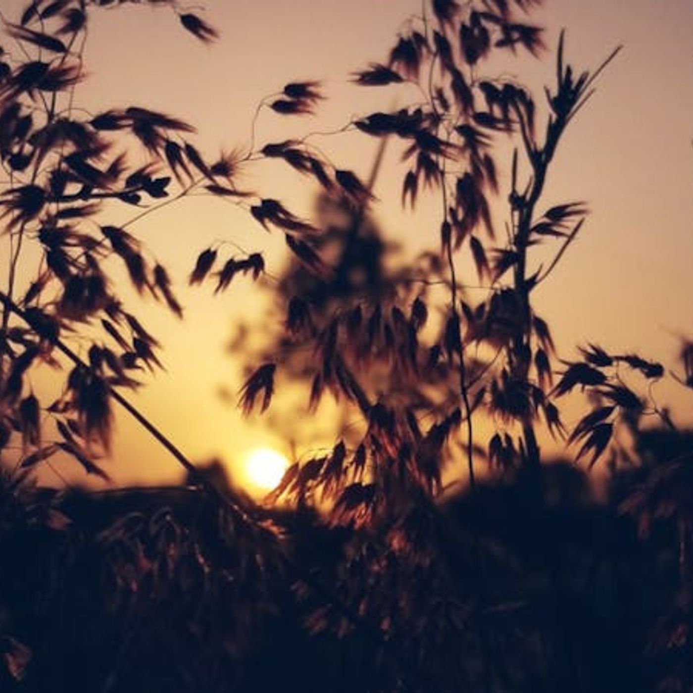 Is My Suffering a Correction for Sin?