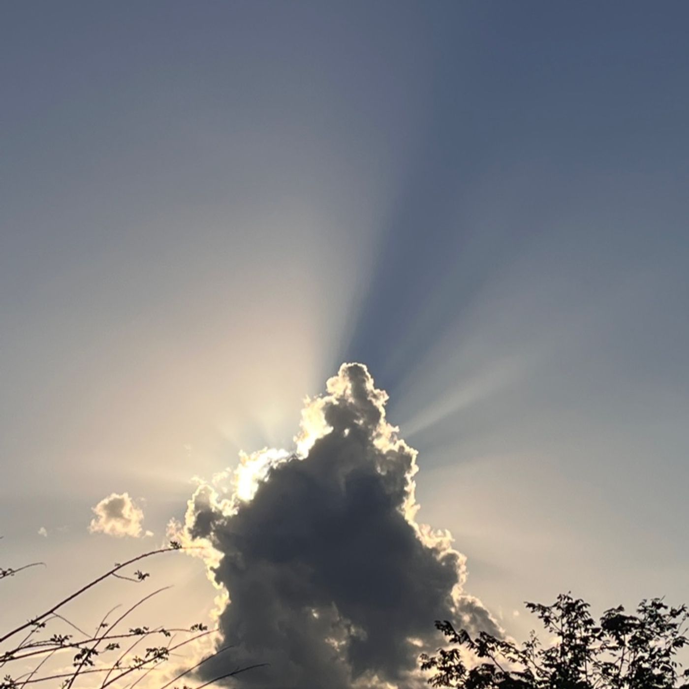 Kosher News & Torah Talk