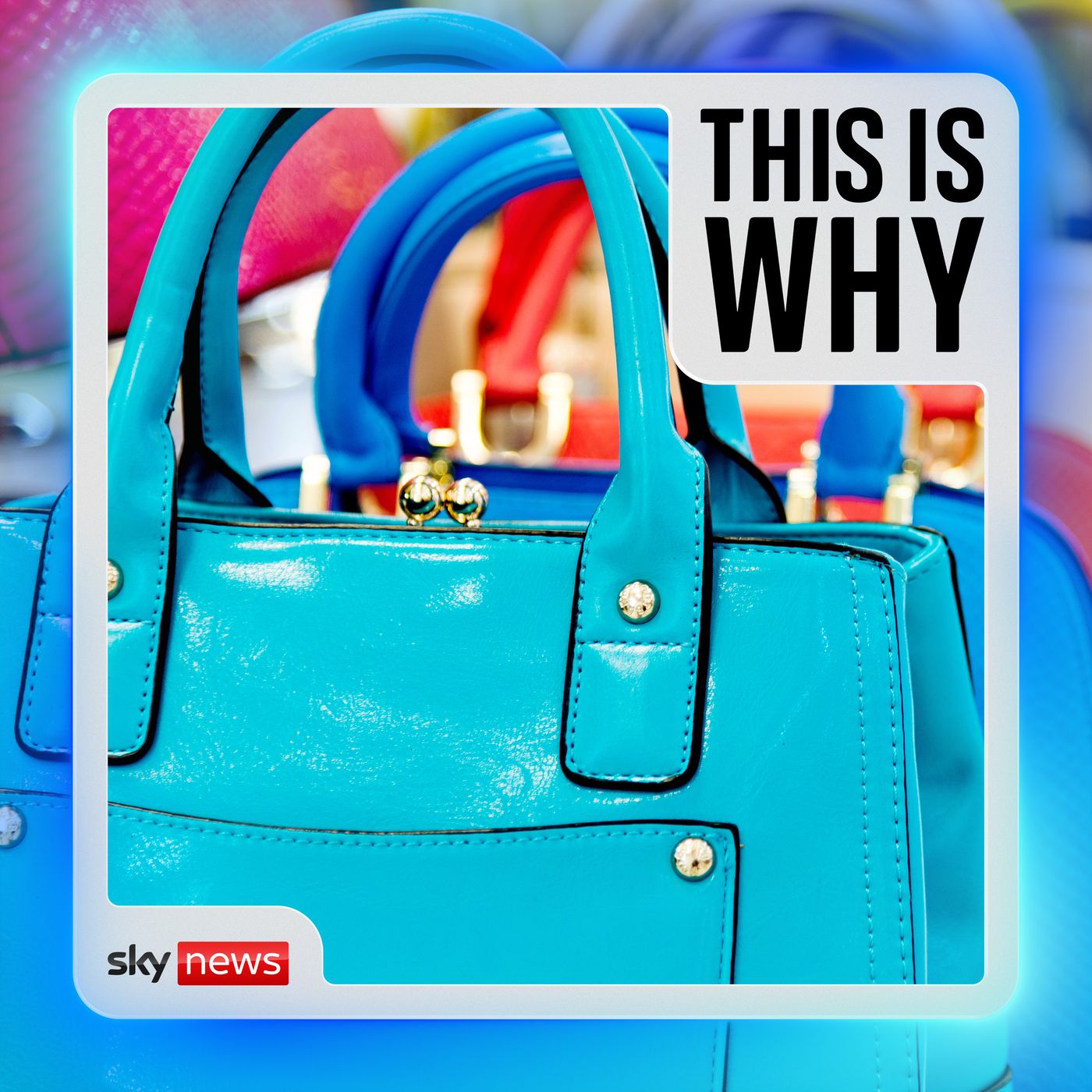 Why your fake fashion is funding organised crime — Sky News Daily cover
