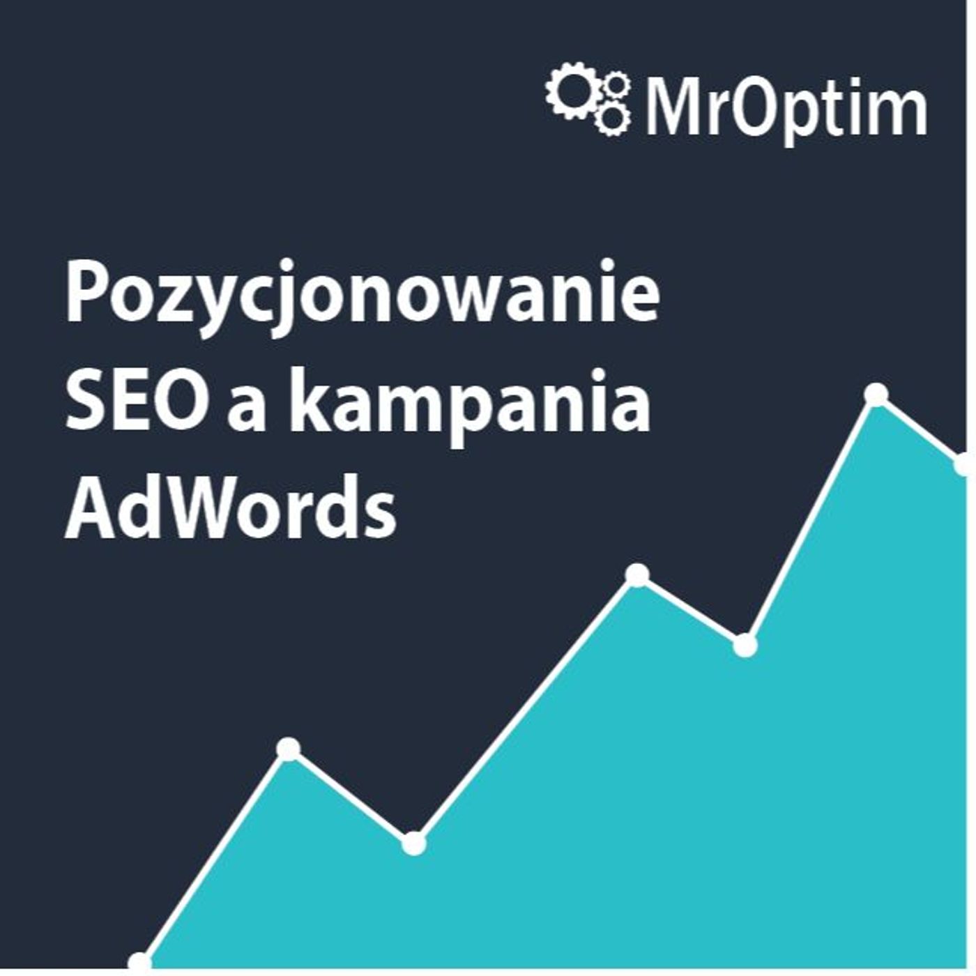 Pozycjonowanie SEO a kampania Google AdWords MrOptim