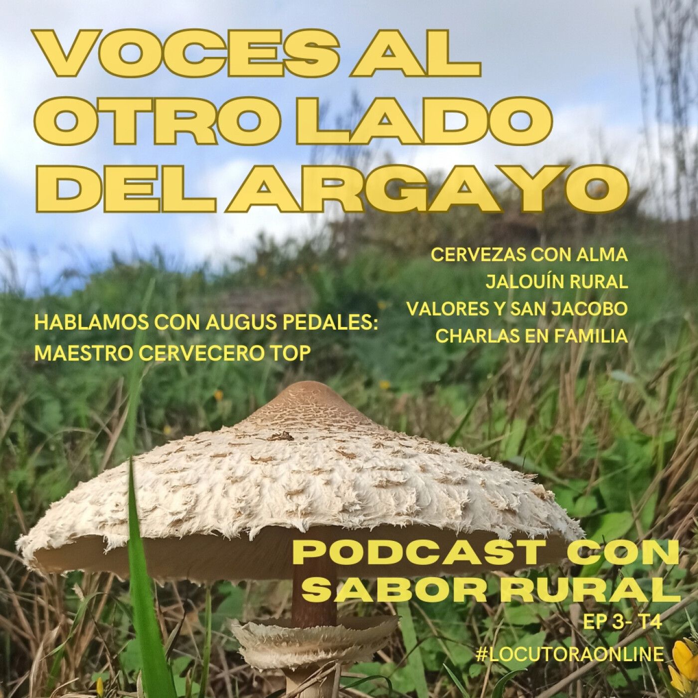 03x04. Cervezas con alma. Valores y San Jacobo. episode artwork
