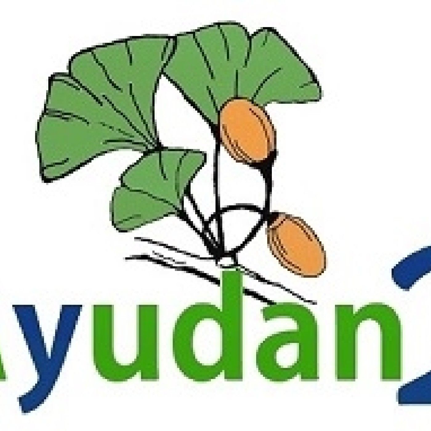 Ayudan 2