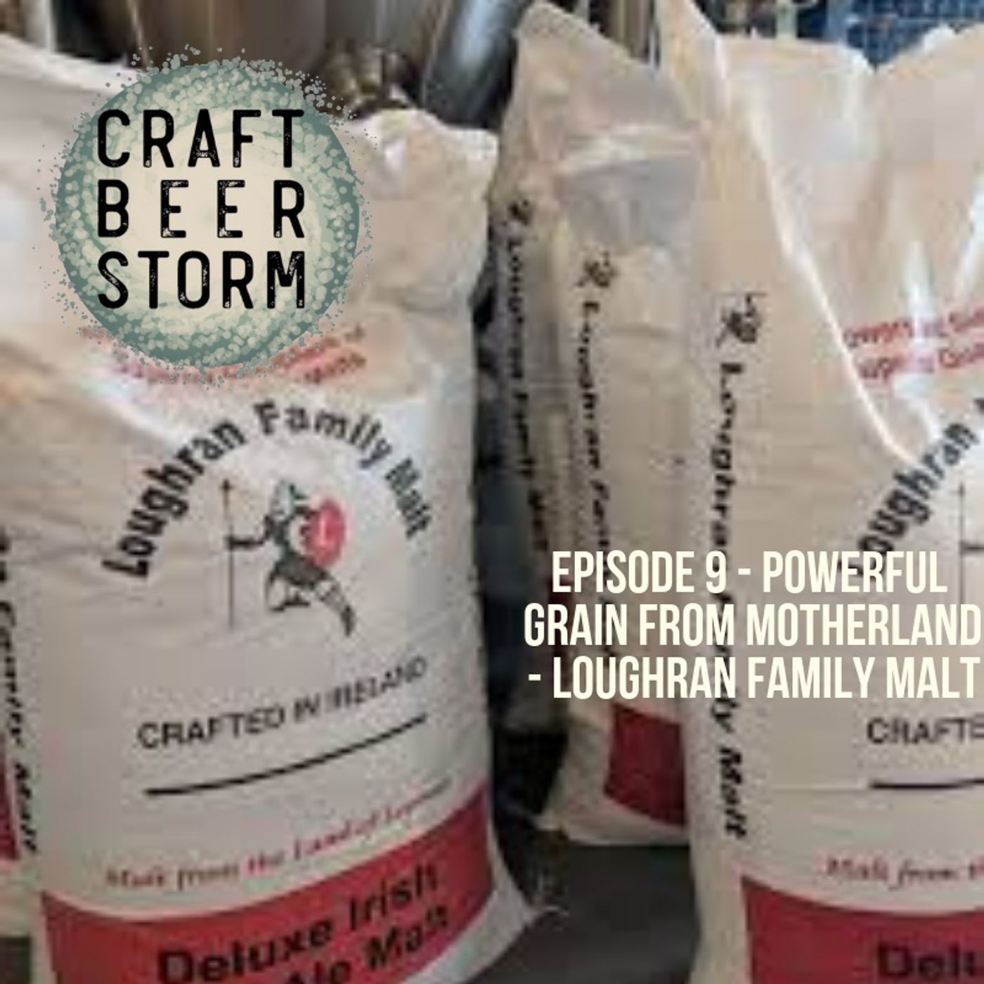 Craft Beer Storm