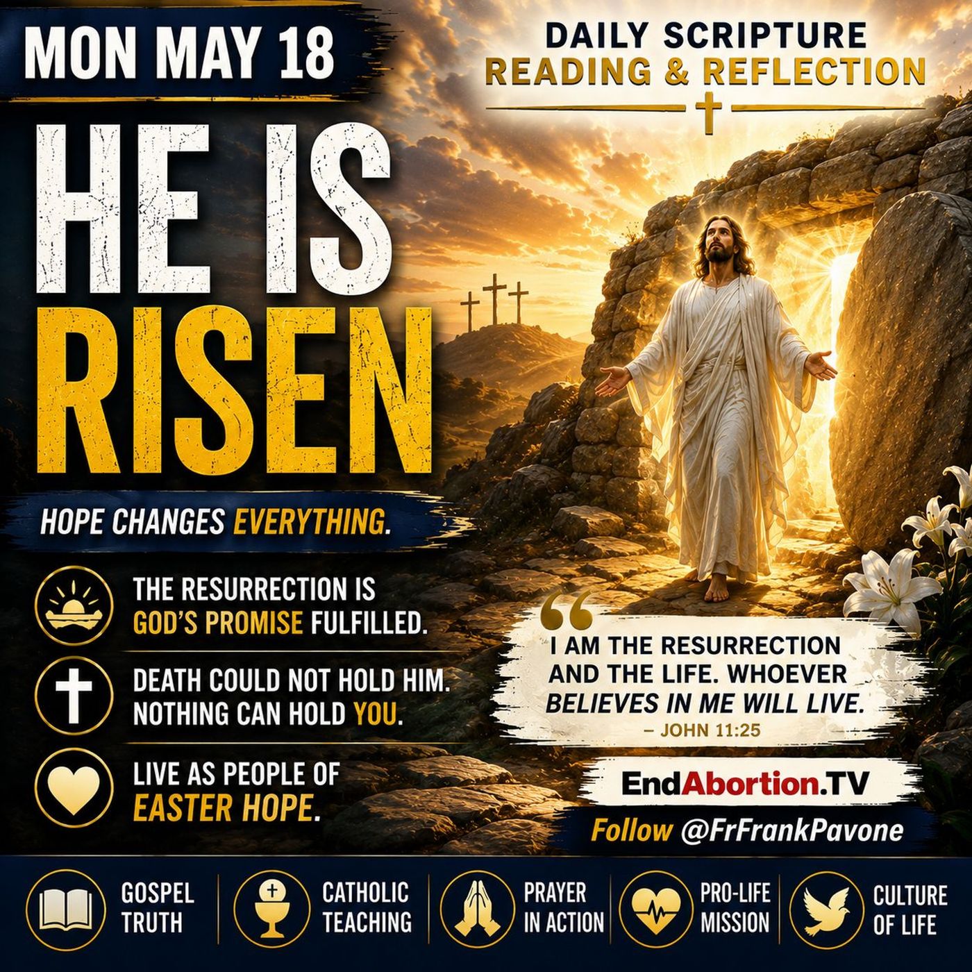 The End Abortion Podcast: Christ Has Conquered the World: 5-18-2026 episode artwork