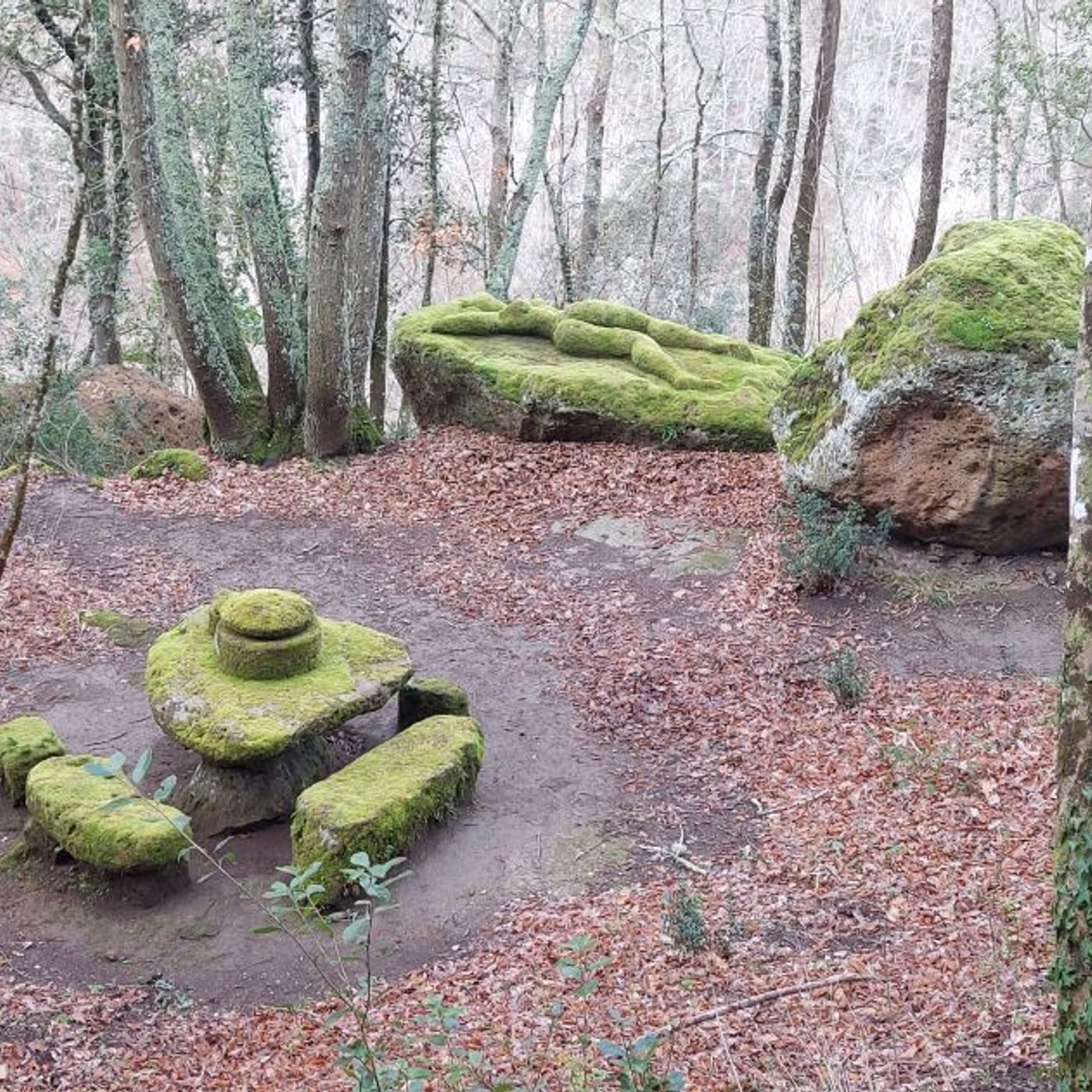 A Calcata la meraviglia di Opera Bosco, museo di arte nella natura episode artwork