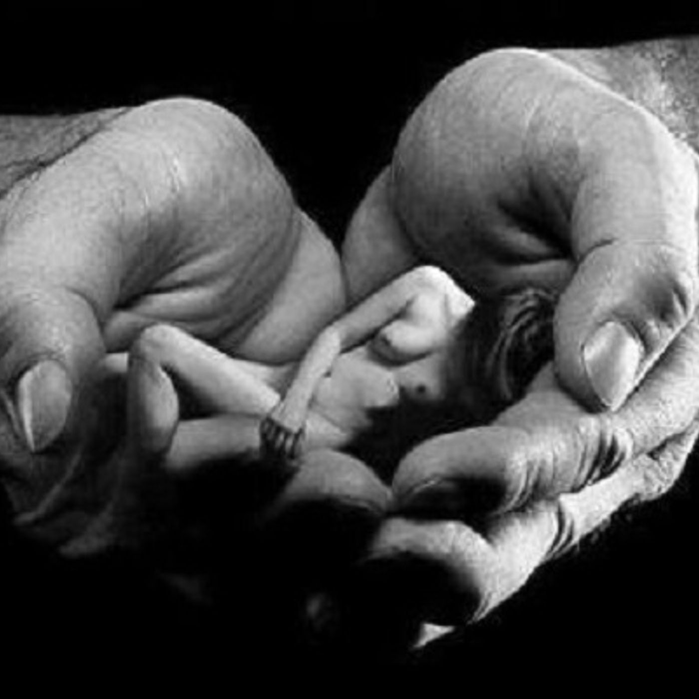 Chiacchiere da Venere - DONNE CHE SVOLTANO!