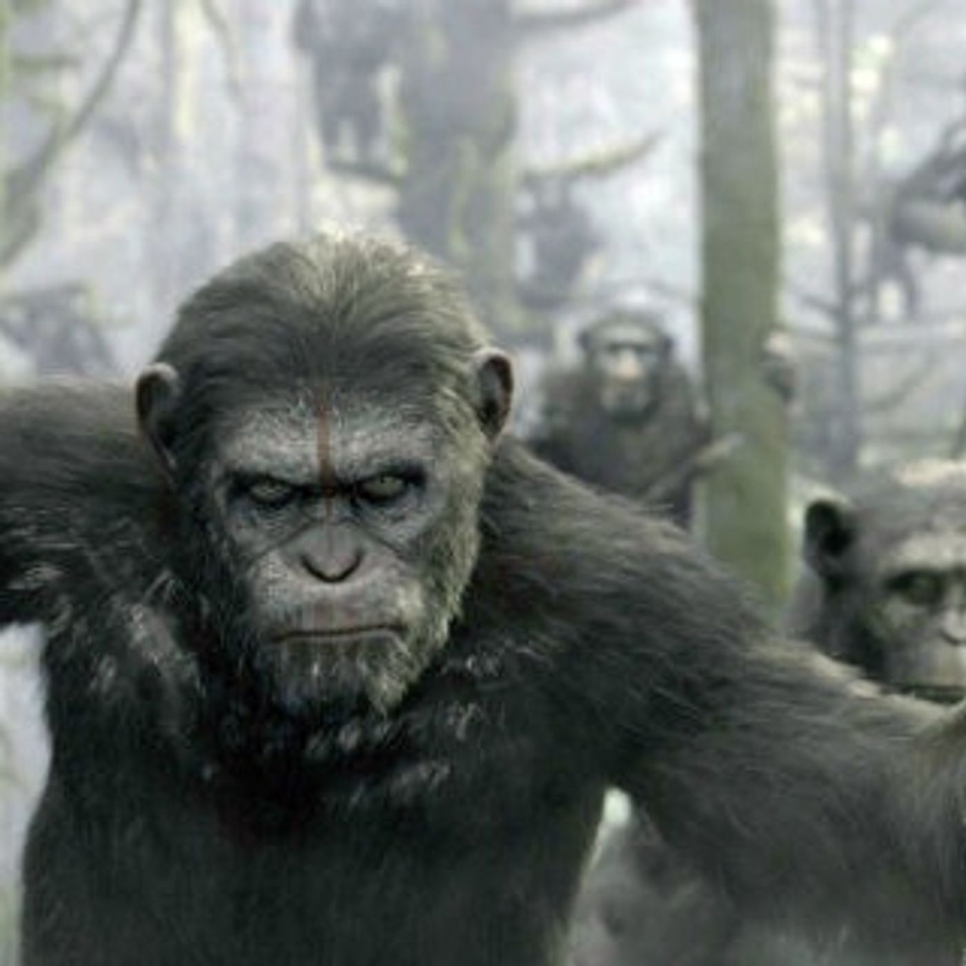 PLANET OF THE APES (REVIEW) episode artwork