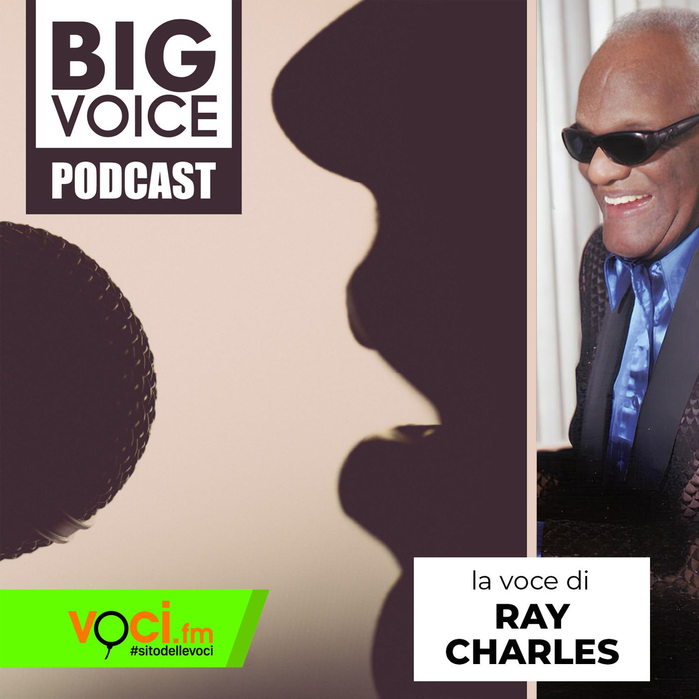 BIG VOICE PODCAST: Ray Charles - clicca play e ascolta il podcast episode artwork