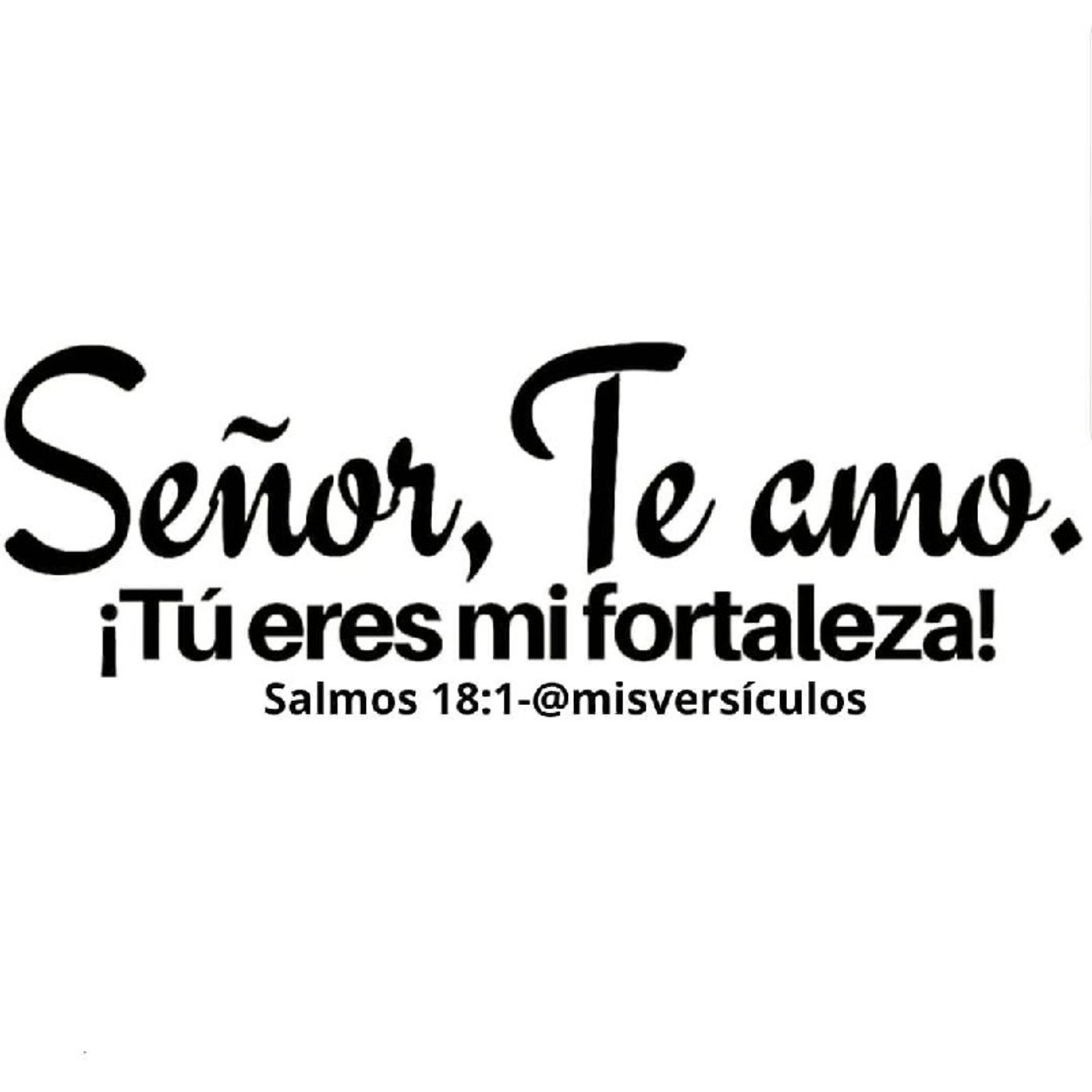 La Reflexión del Día "Te amo de todo corazón mi Señor" episode artwork