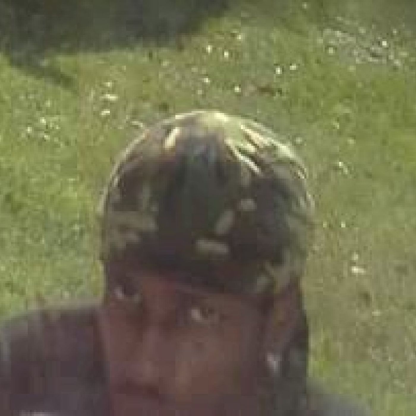 Christopher Spencer Cjs\'s show