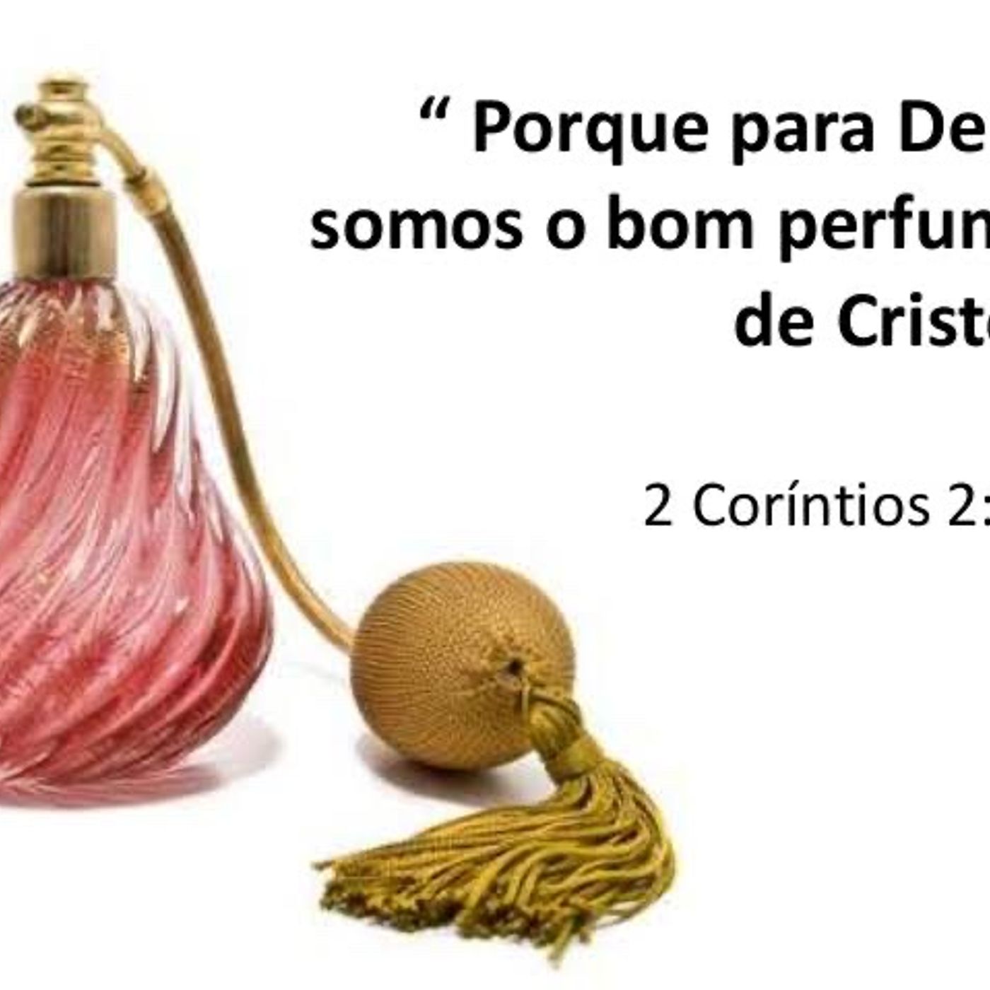 Desdobrando a Palavra de Deus