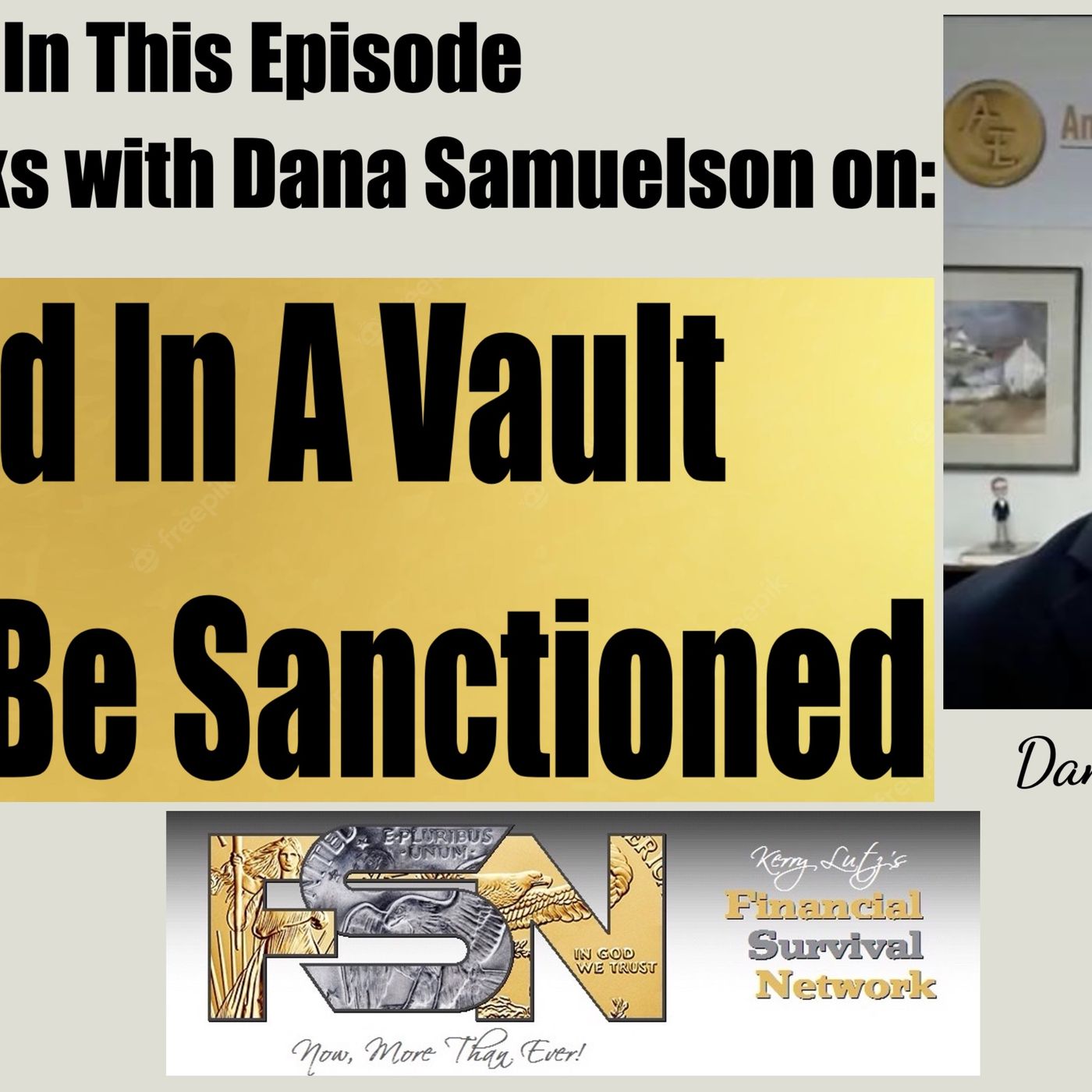 cover of episode Gold In A Vault Can't Be Sanctioned -- Dana Samuelson #6092