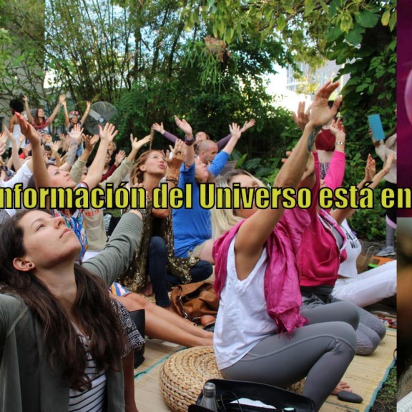 #114 Toda la información del Universo está en tu corazón #DrunvaloMelchizedek #Toroide #Koguis