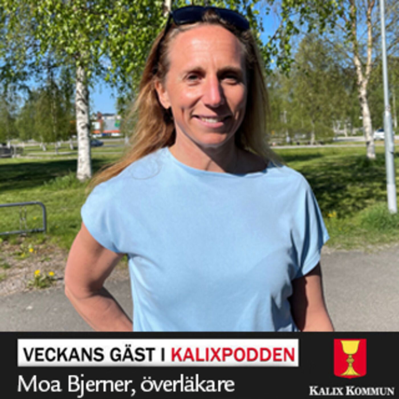 Kalixpodden