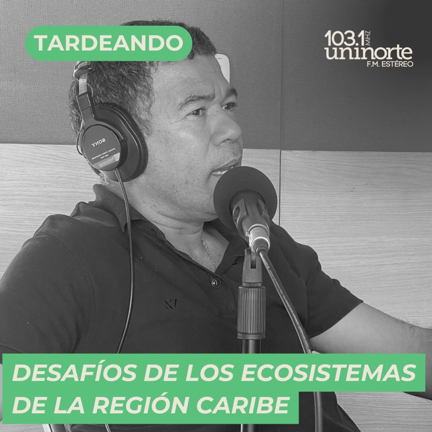 Desafíos de los ecosistemas de la Región Caribe :: COP16 episode artwork