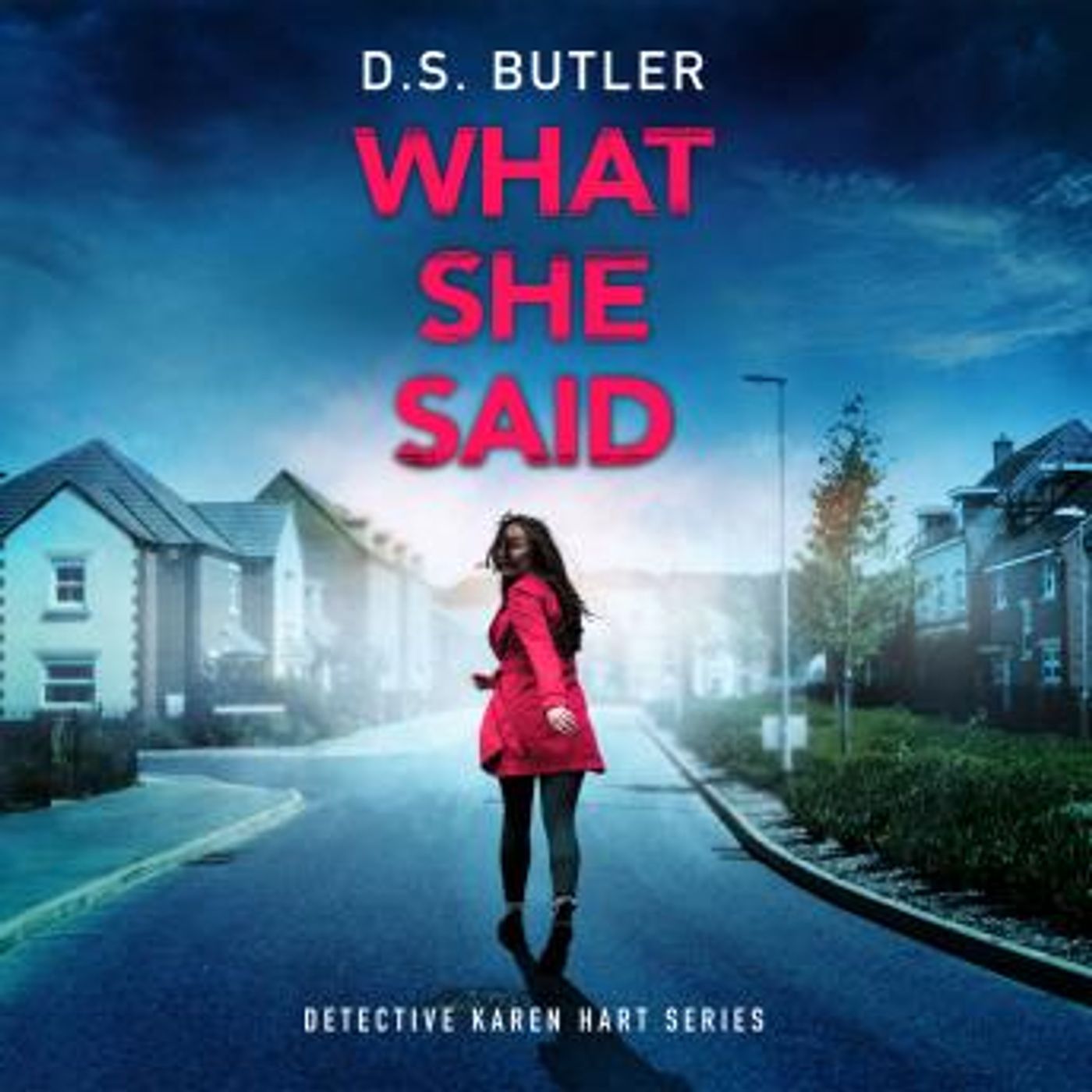 What She Said by D. S. Butler episode artwork