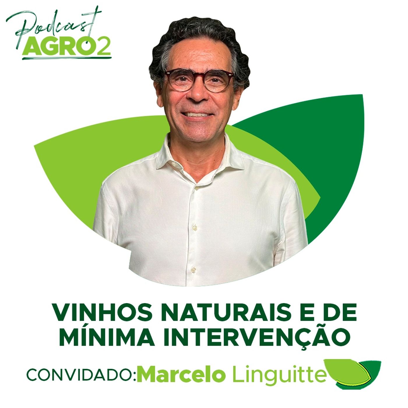 Produção e mercado de Vinhos Naturais e de Mínima Intervenção tem crescimento anual de 12% #347 episode artwork