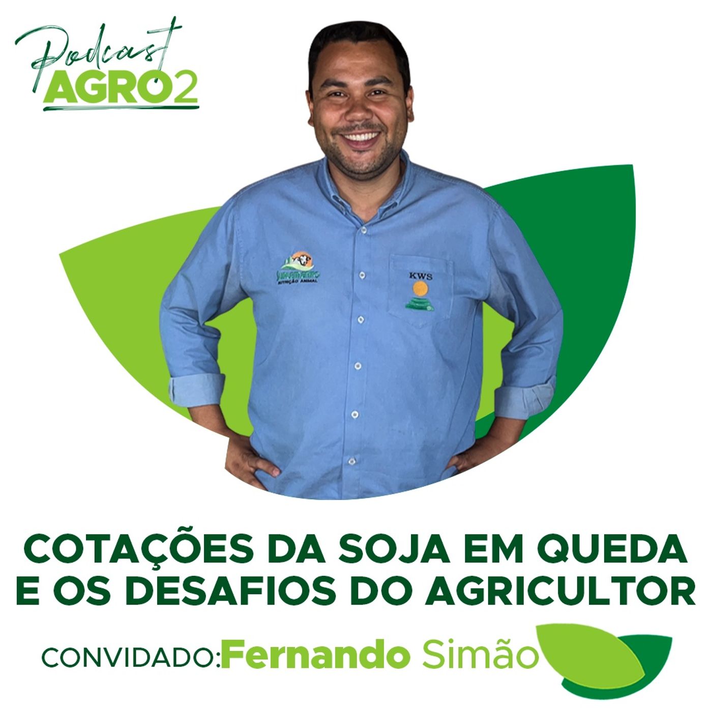 Safra de soja 2022/2023: 'É a safra mais cara dos últimos 10 anos pelo menos' #179 episode artwork