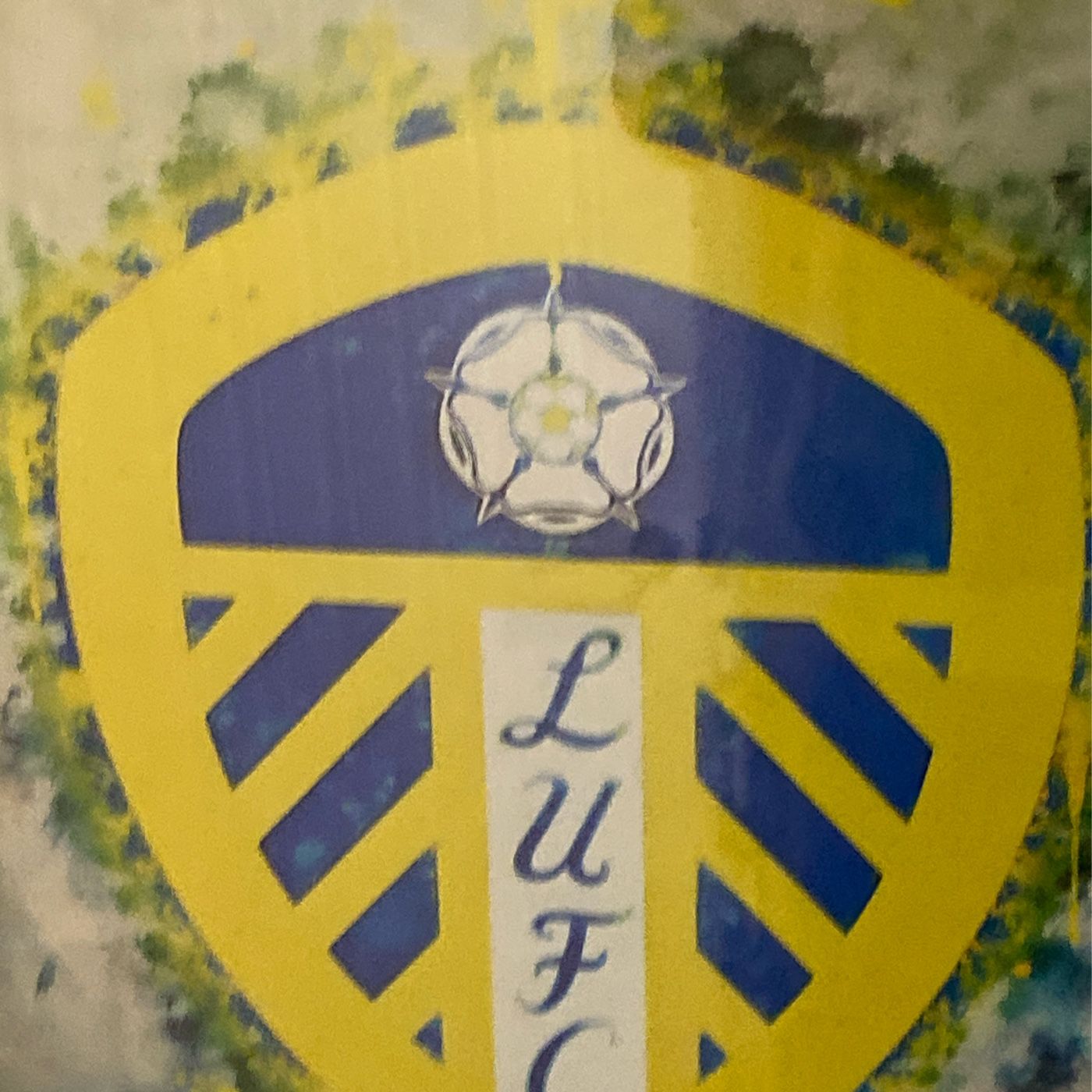 Leeds United Football Fun’s cover art