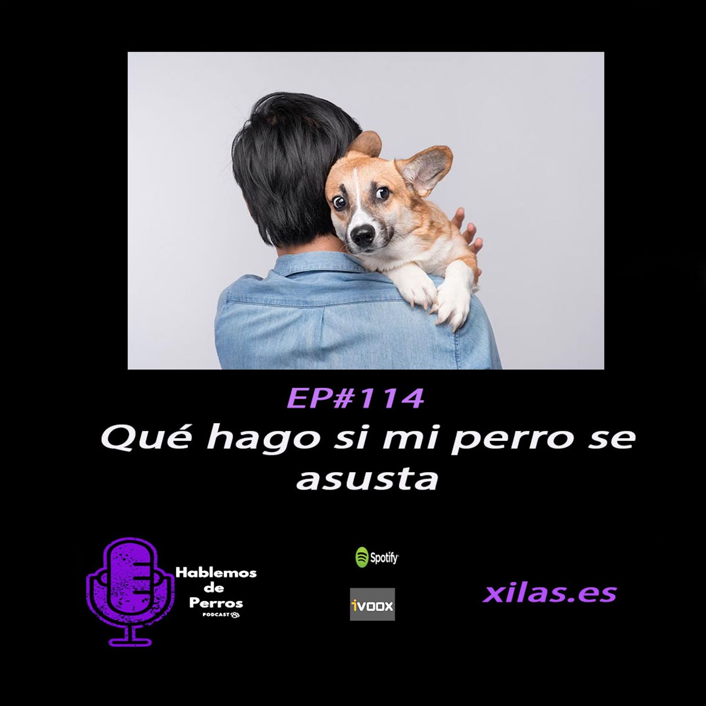 Hablemos de perros
