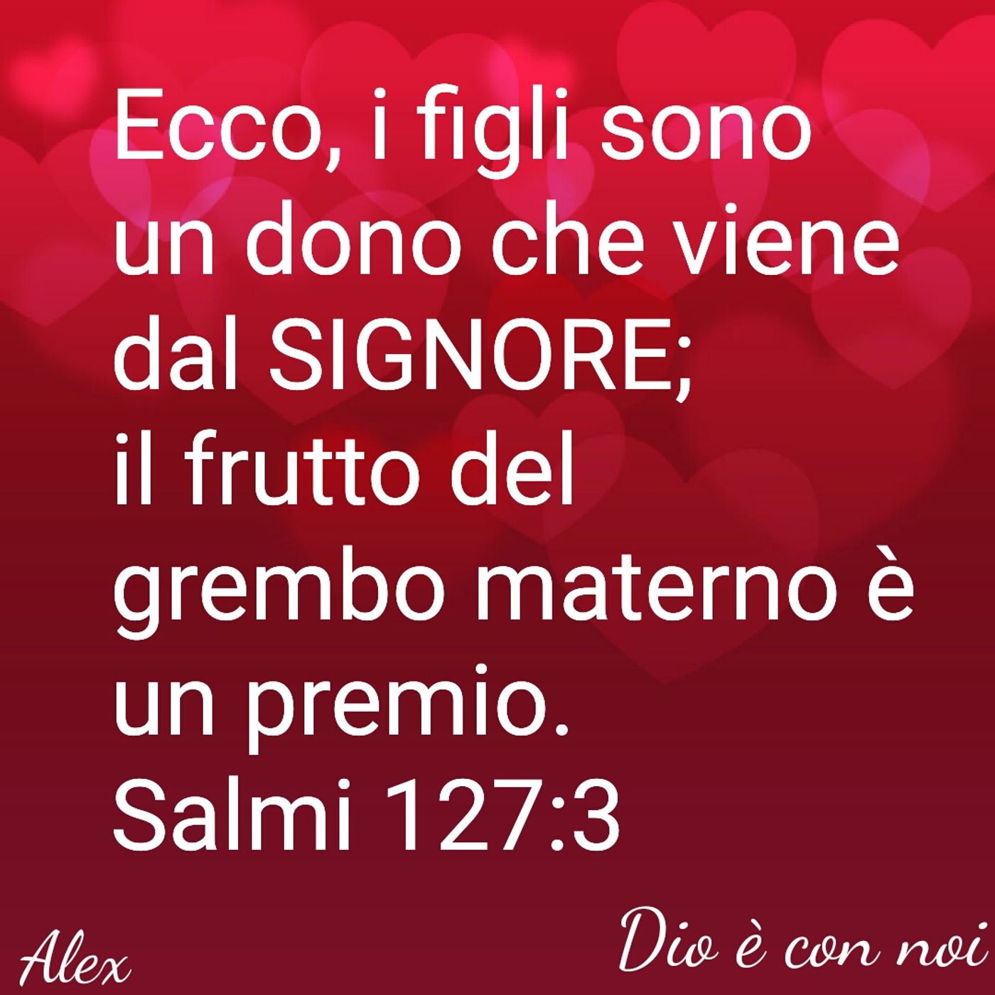 Una grazia giunta dal cielo cover art