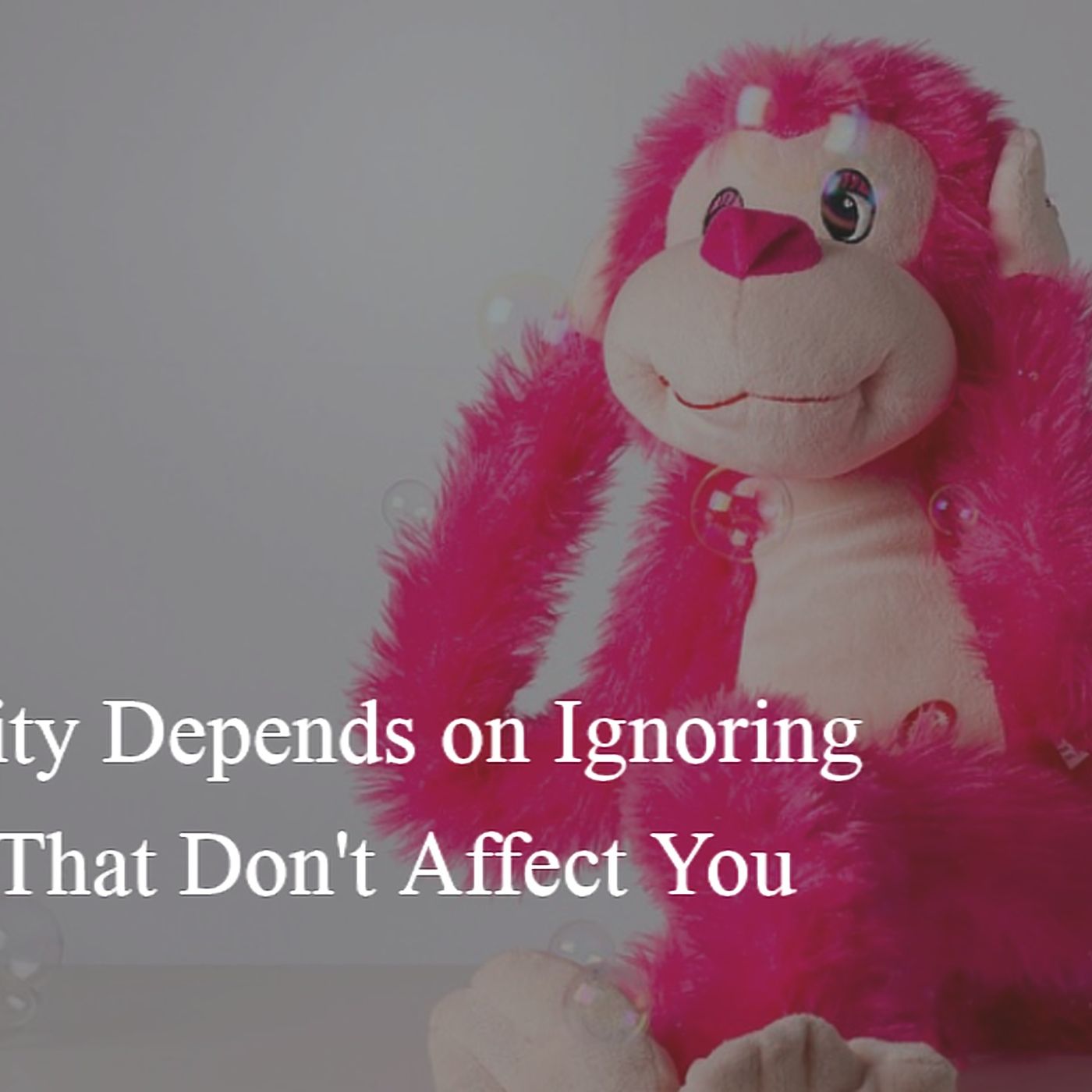 Through a Different Lens