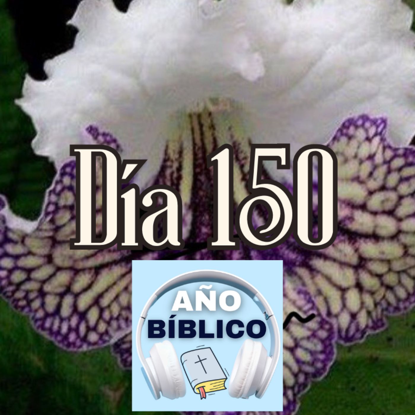 Día 150 - Salmos 68:7-10, 1 Reyes 4-5; 1 Reyes 6:1-13 y Hechos 20:7-38 episode artwork