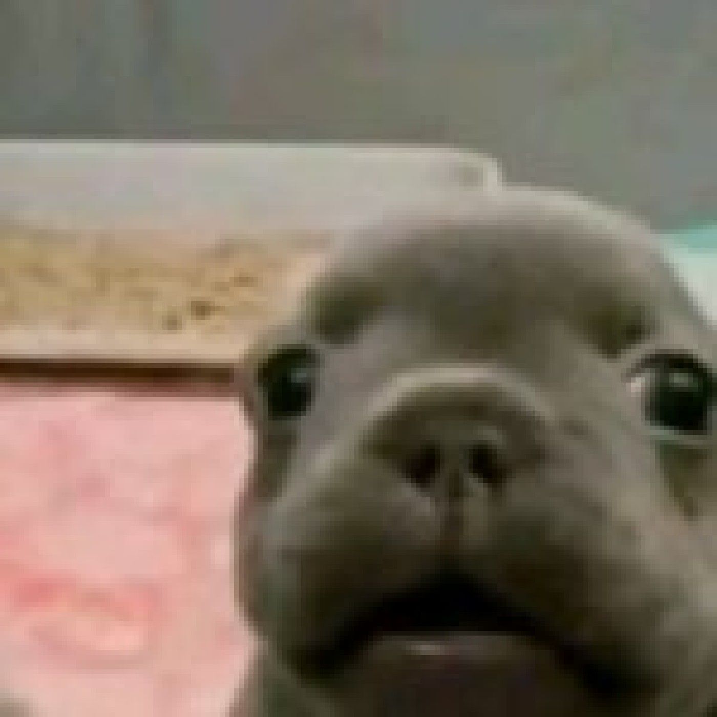 El podcast de Angel Alejo