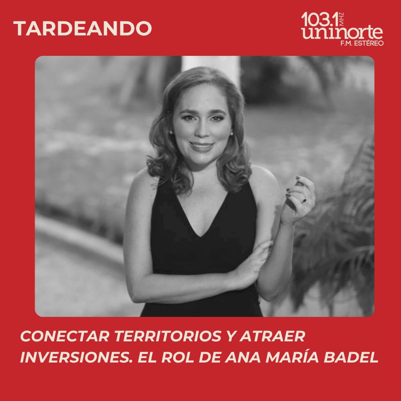 Los Egresados hacen Noticia :: Conectar territorios, atraer inversiones: el rol estratégico de Ana María Badel episode artwork