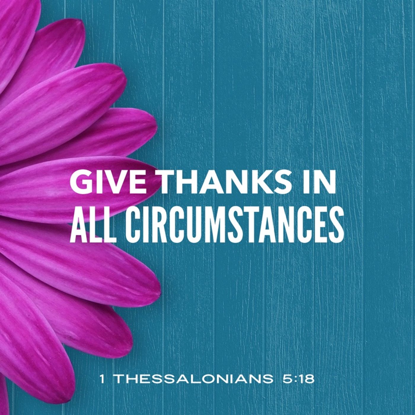 God\'s Encouragement