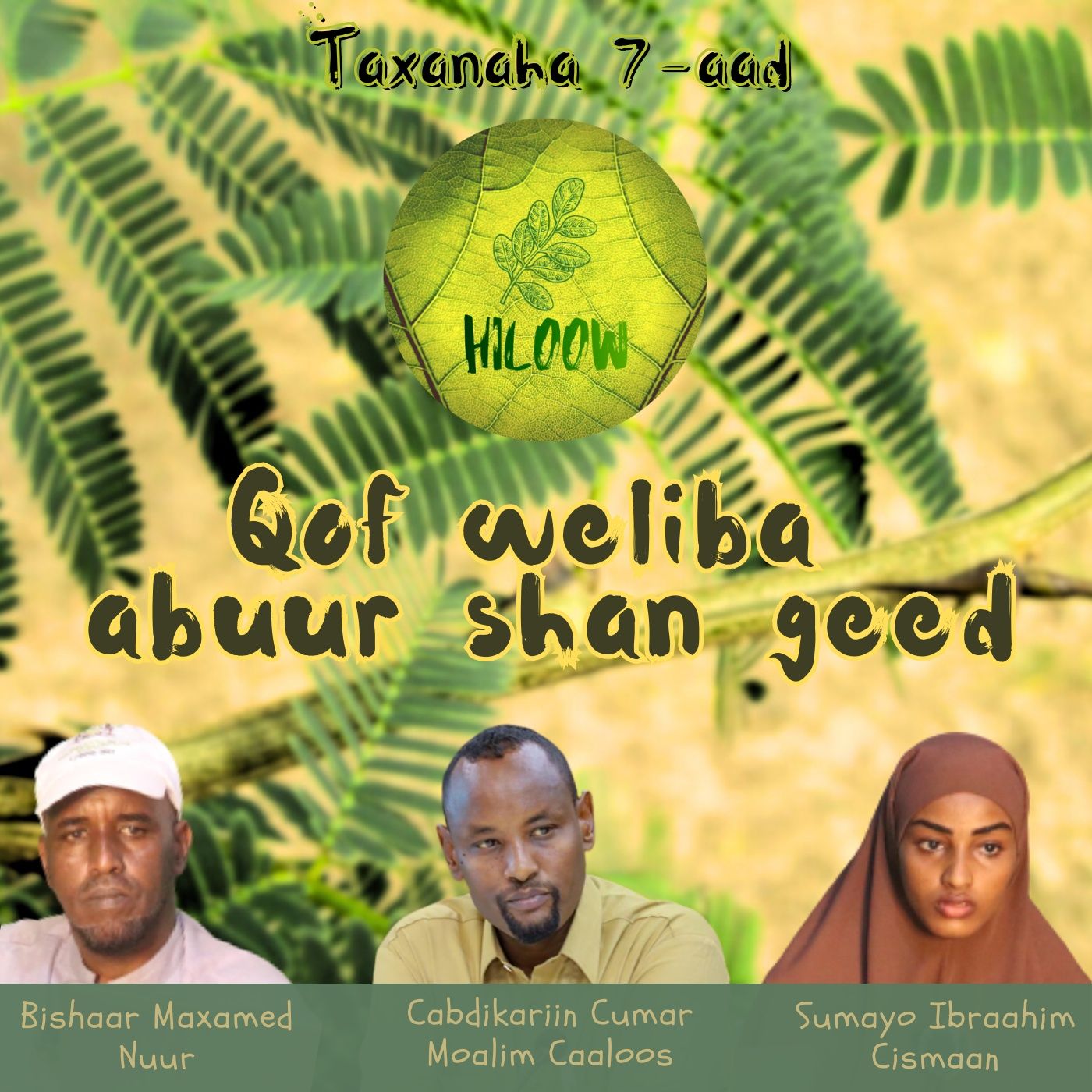 7. Qof weliba abuur shan geed episode artwork
