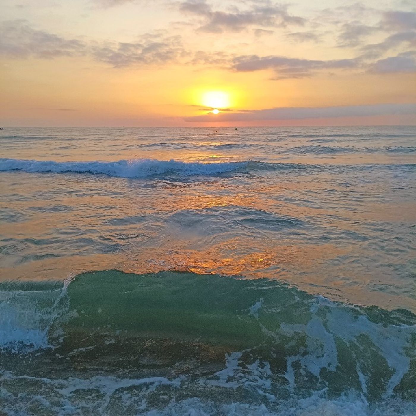 Lecturas de un Bufón Loco