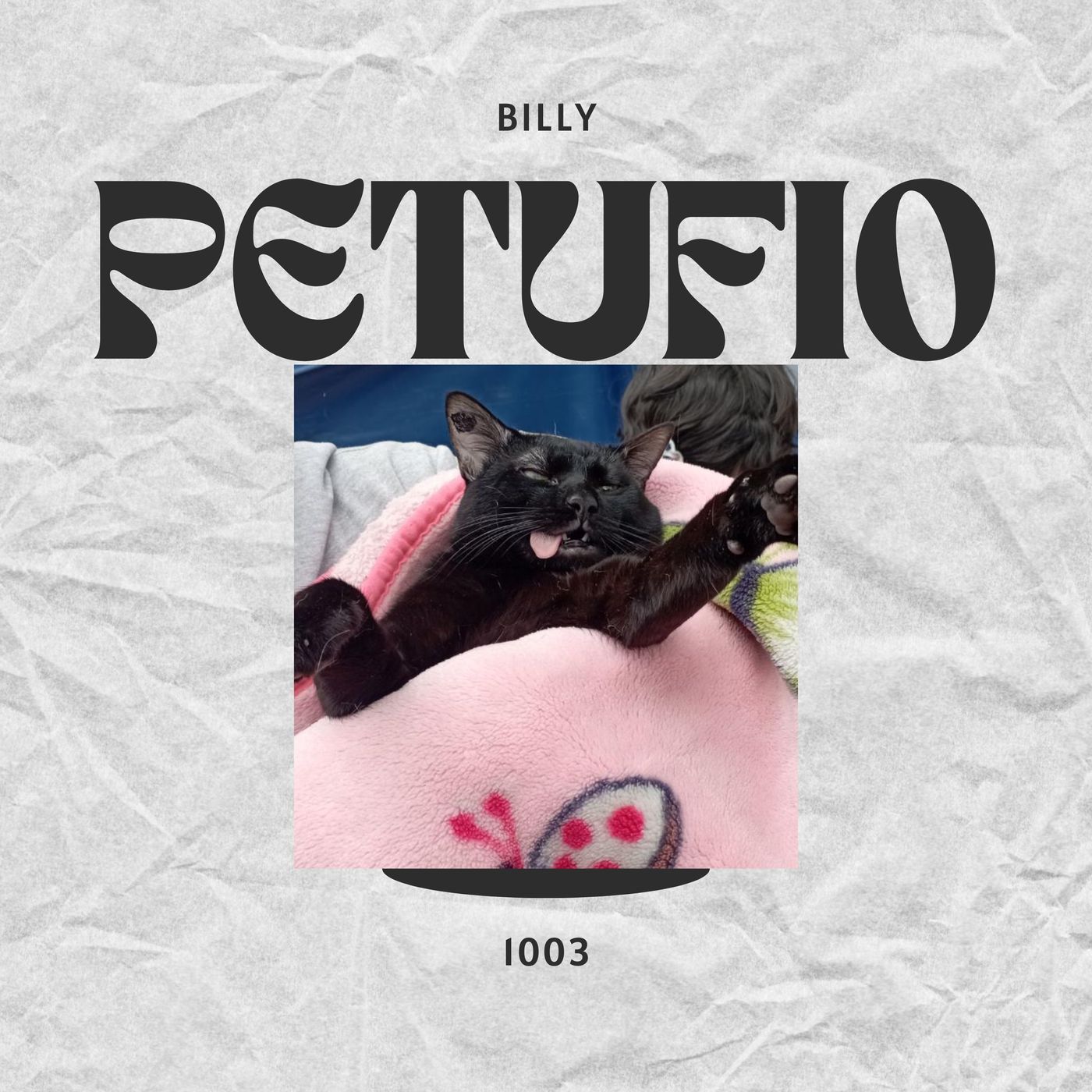 PETUFION podcast artwork