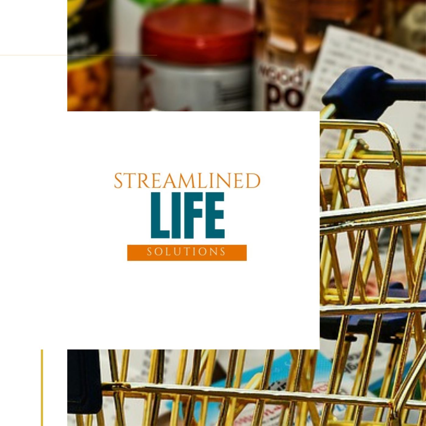 Streamlined Life Solutions