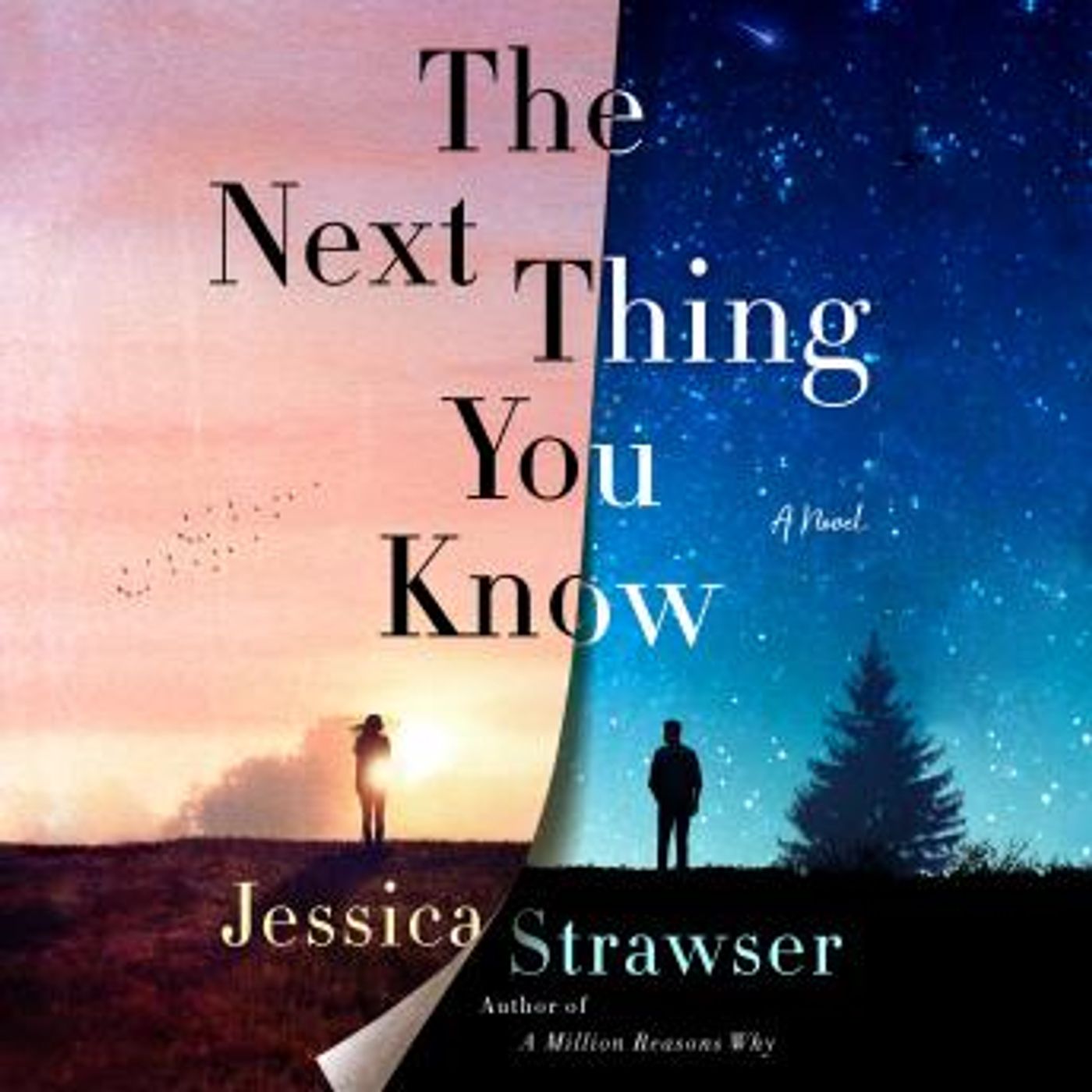 Download Incredible Full Audiobooks in Fiction, Contemporary Women