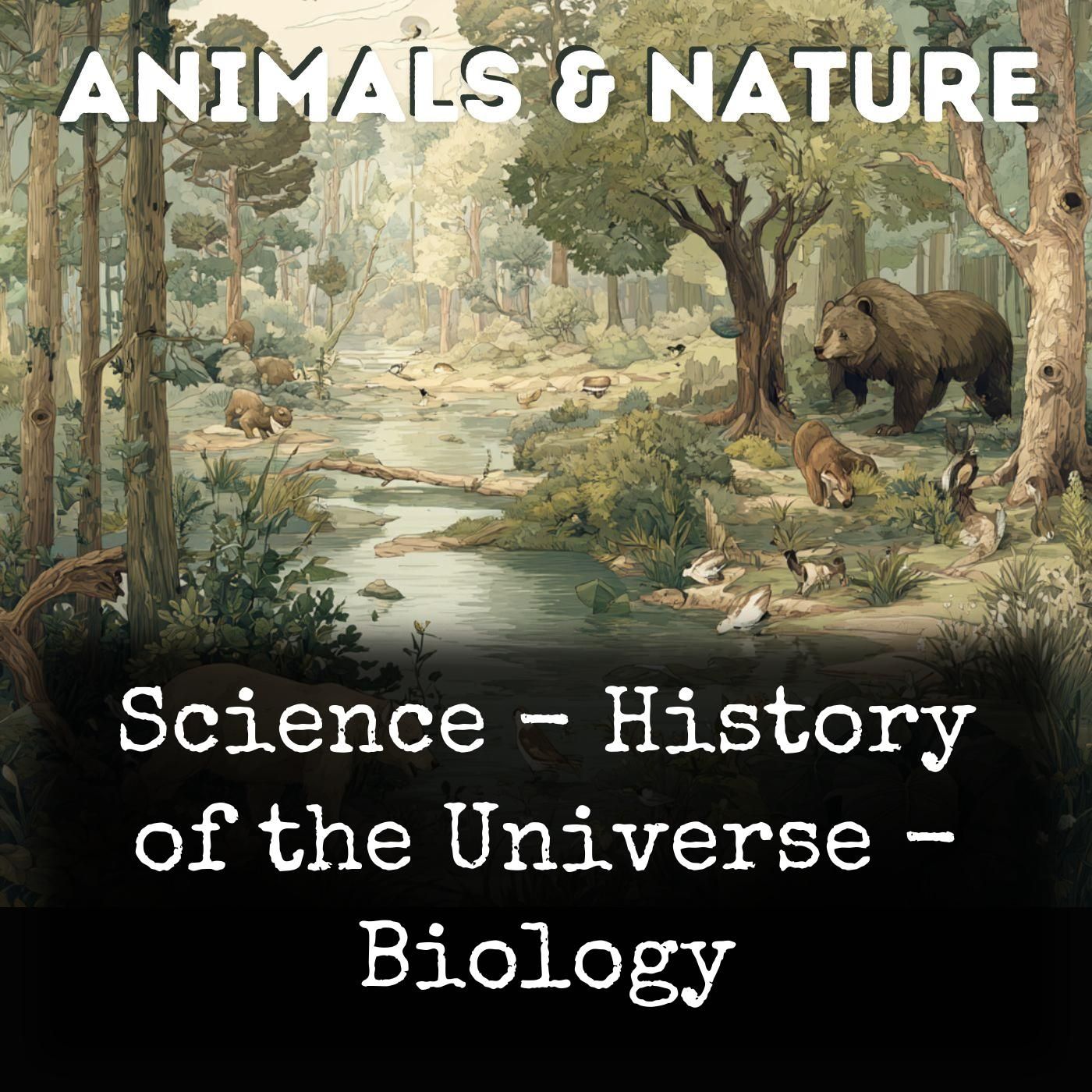 Science - History of the Universe - Biology cover art