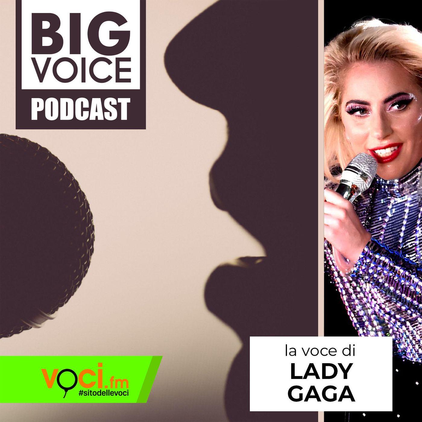 BIG VOICE PODCAST: Lady Gaga - clicca PLAY e ascolta il podcast episode artwork