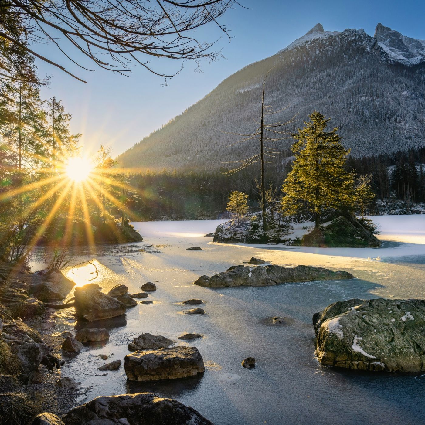 Adecuacion curricular