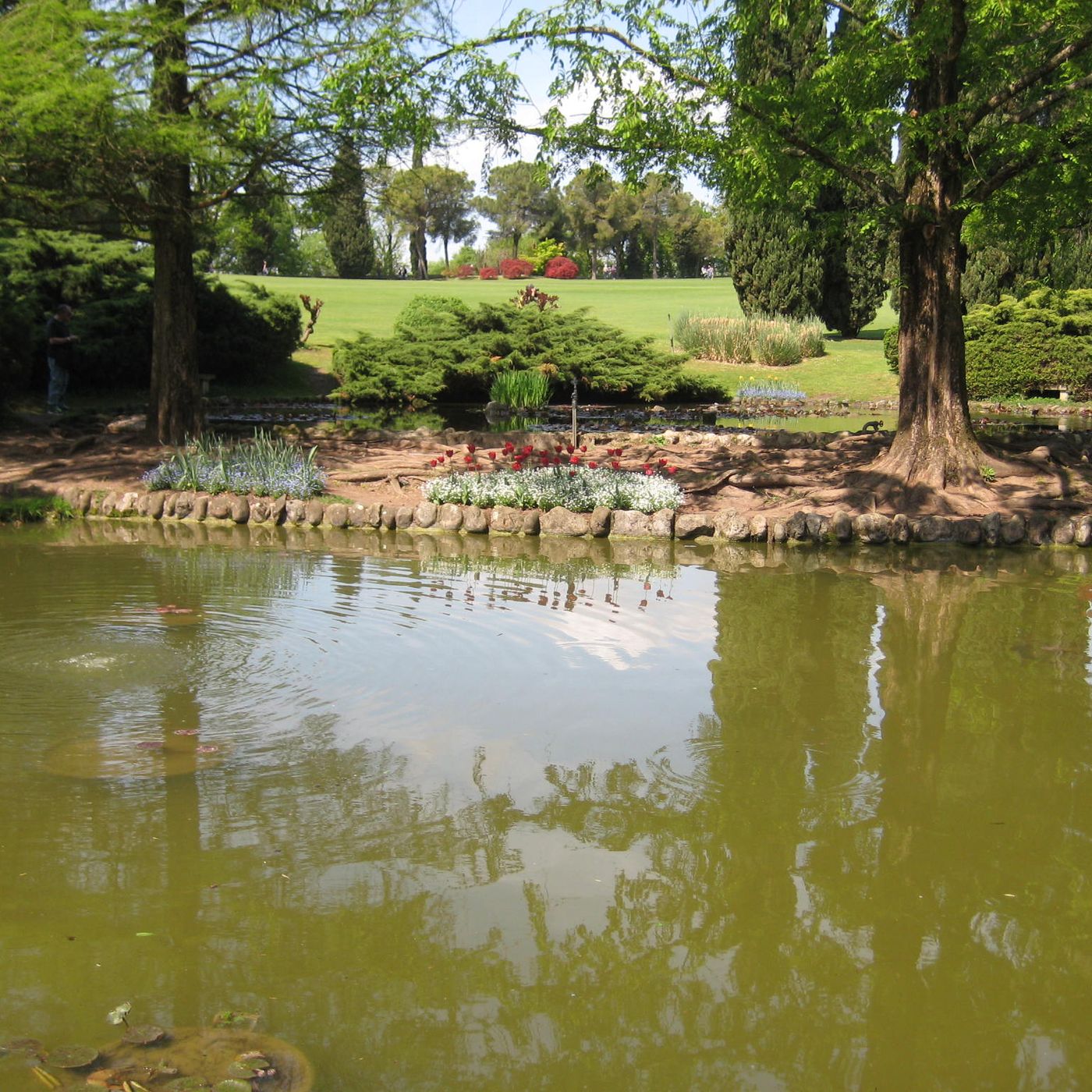 Problemi in giardino, a Primavera